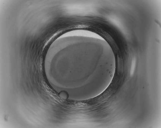 X0000102040387200808151411