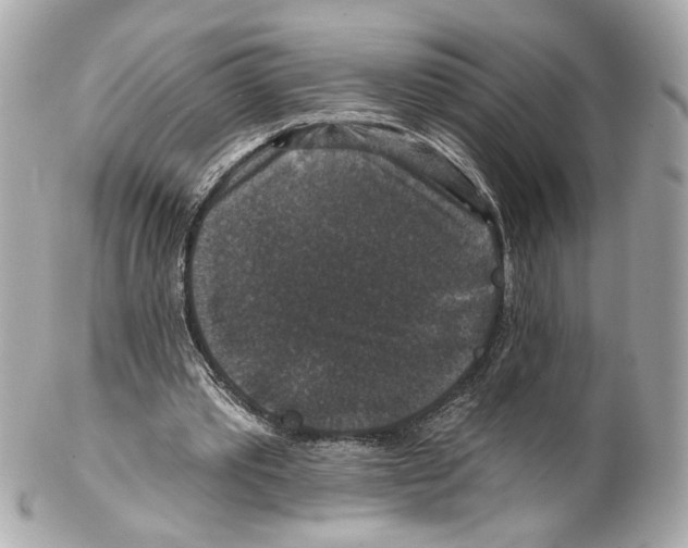 X0000102040389200808151411