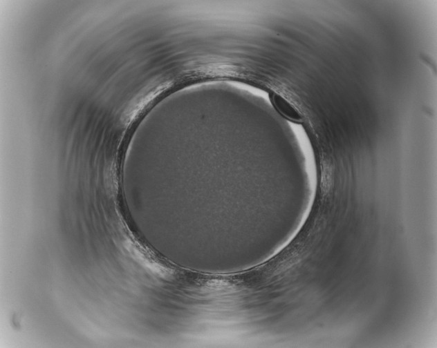 X0000102040390200808151411