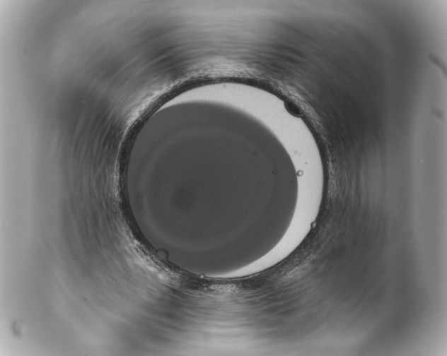 X0000102040391200808151411