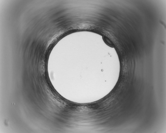 X0000102040392200808151411
