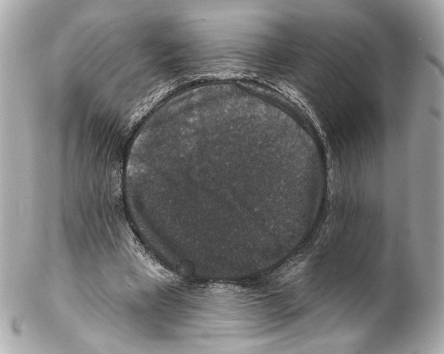 X0000102040393200808151411