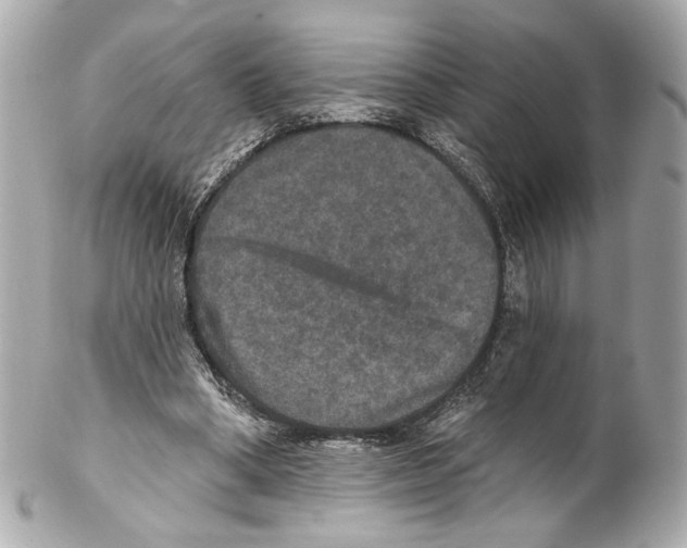 X0000102040394200808151411