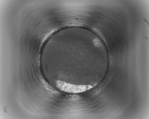 X0000102040395200808151411