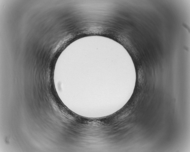 X0000102040396200808151411