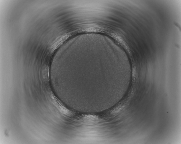 X0000102040397200808151411