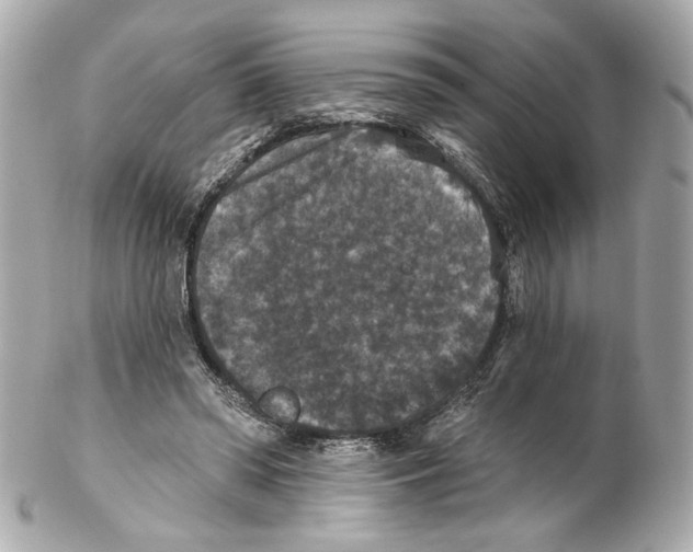 X0000102040398200808151411