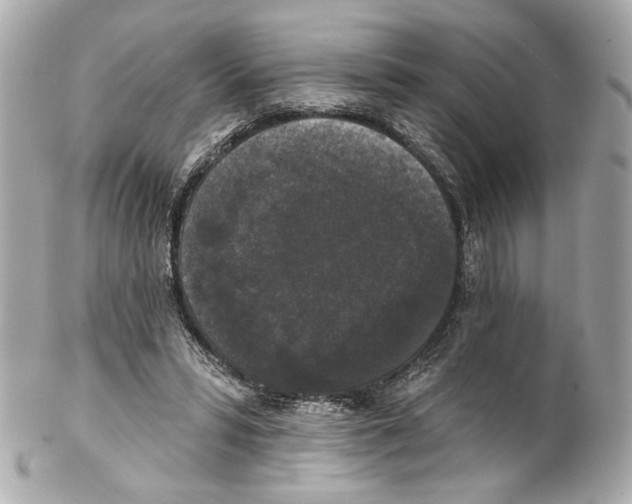 X0000102040399200808151411