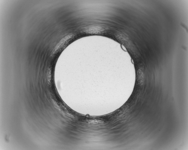 X0000102040400200808151411