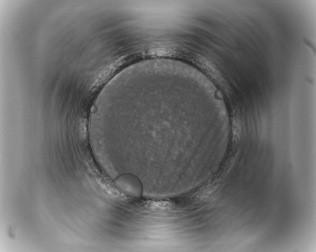 X0000102040401200808151411