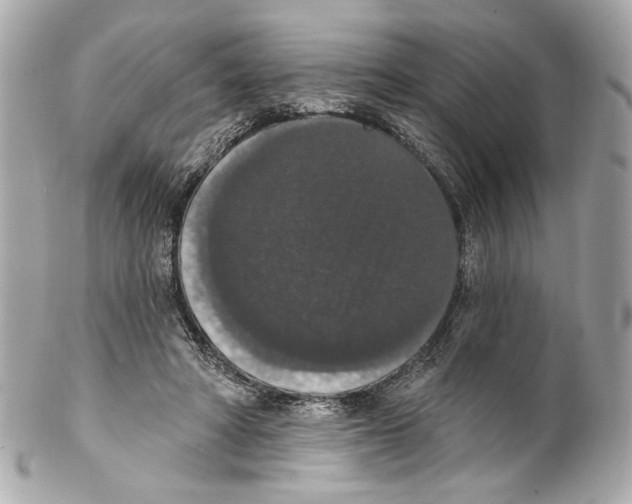 X0000102040402200808151411