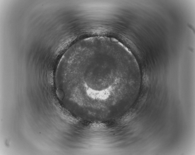 X0000102040403200808151411