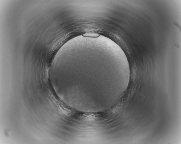 X0000102040405200808151411