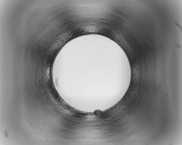 X0000102040406200808151411