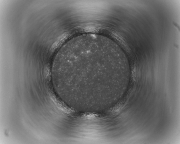 X0000102040407200808151411