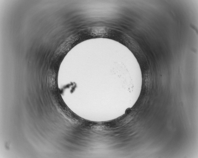 X0000102040408200808151411