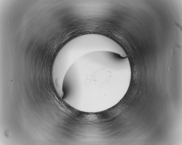 X0000102040409200808151411