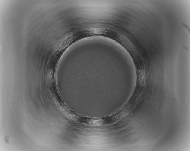 X0000102040410200808151411
