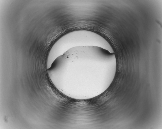 X0000102040411200808151411