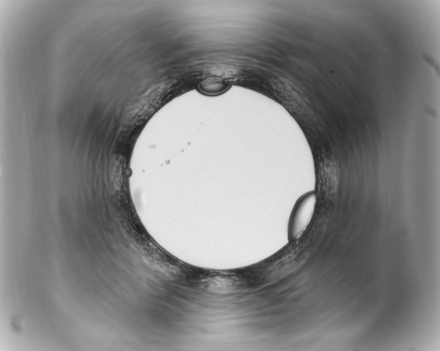 X0000102040412200808151411