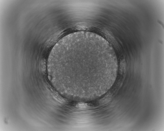 X0000102040413200808151411