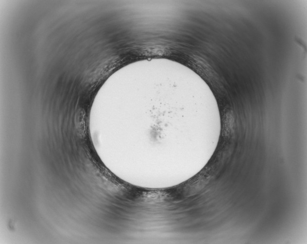 X0000102040414200808151411