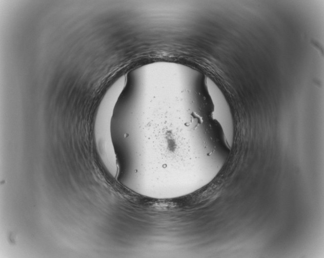 X0000102040415200808151411