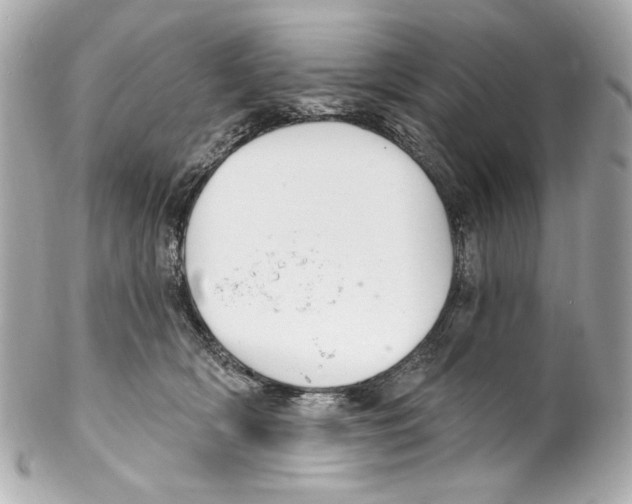 X0000102040418200808151411