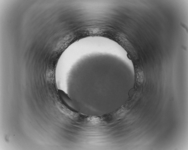 X0000102040419200808151411