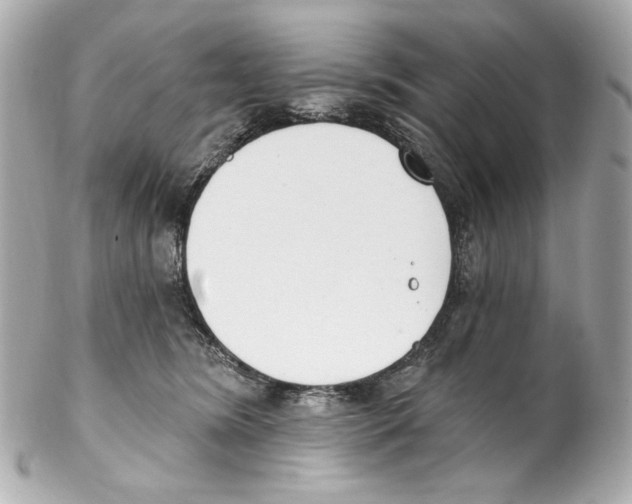X0000102040420200808151411