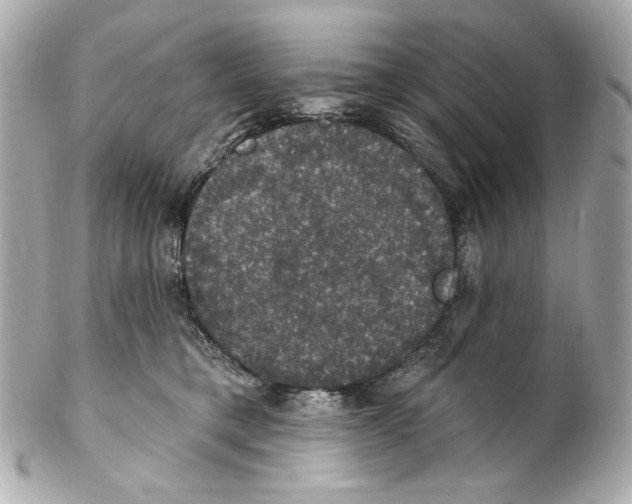 X0000102040421200808151411