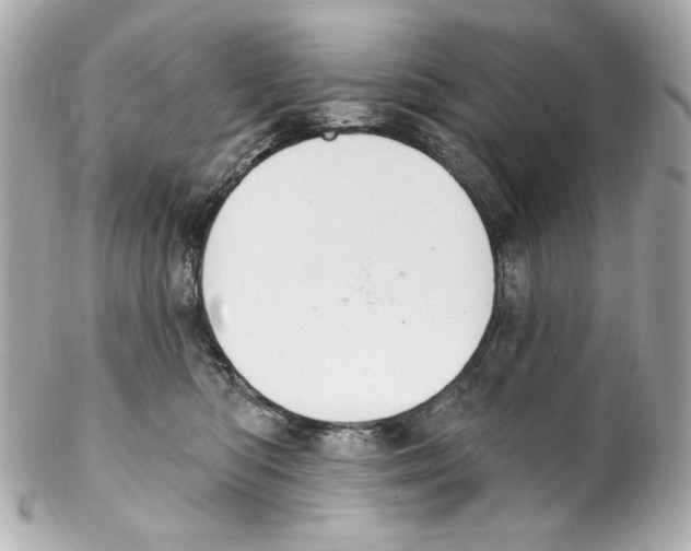 X0000102040422200808151411