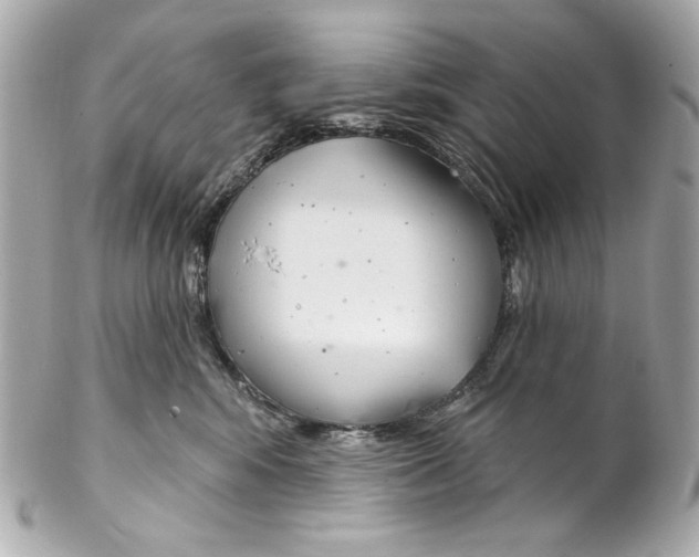 X0000102040424200808151411