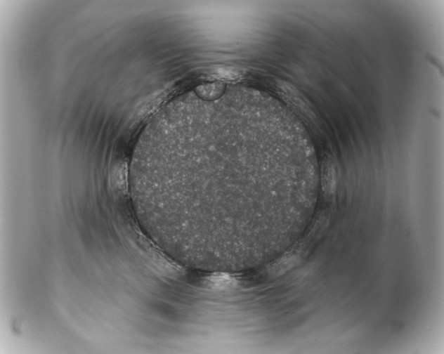 X0000102040425200808151411