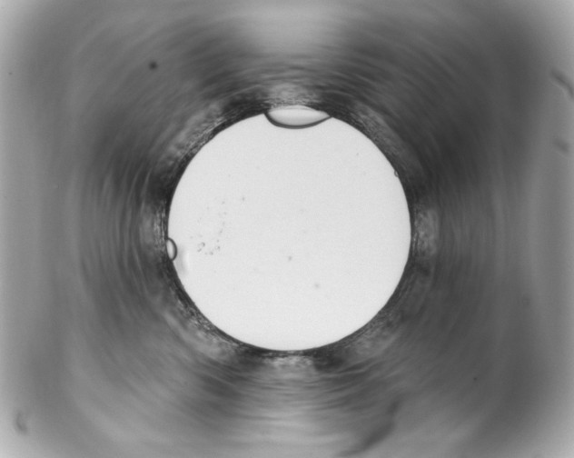 X0000102040426200808151411