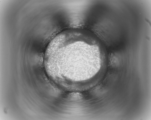 X0000102040427200808151411