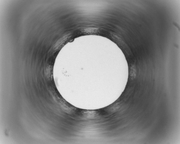 X0000102040428200808151411