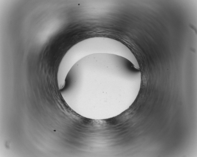 X0000102040429200808151411