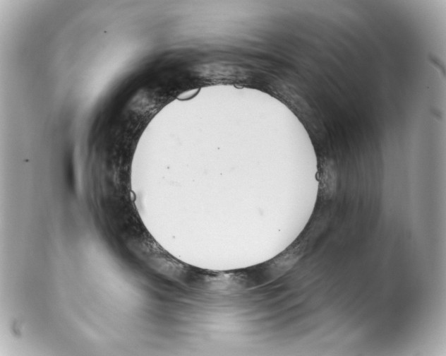 X0000102040430200808151411