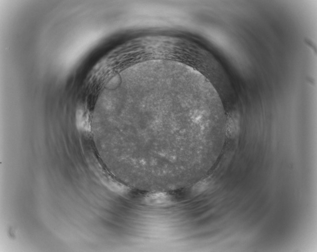 X0000102040431200808151411