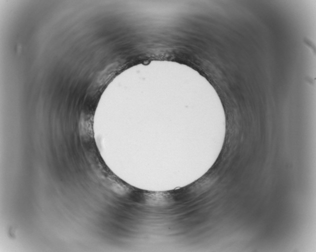 X0000102040432200808151411