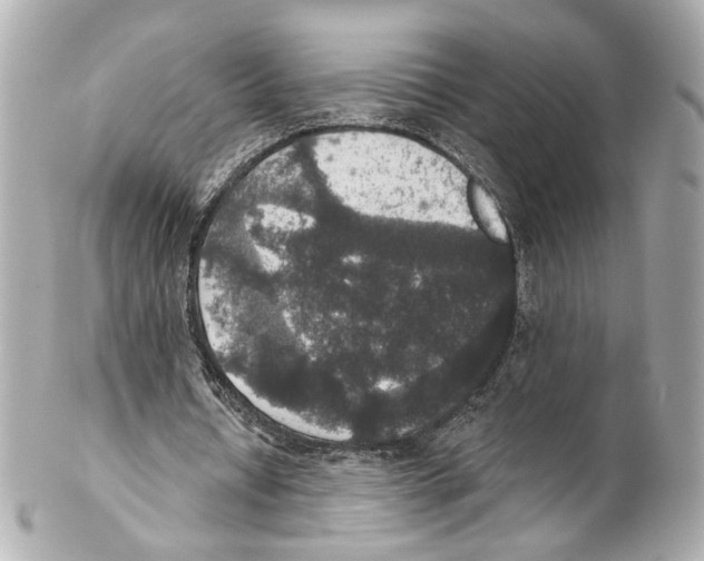 X0000102040434200808151410