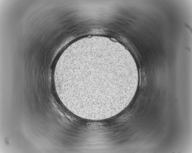 X0000102040435200808151410