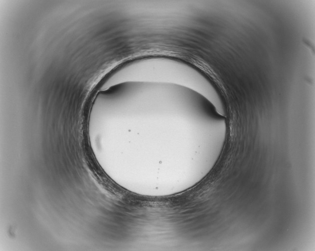 X0000102040436200808151410
