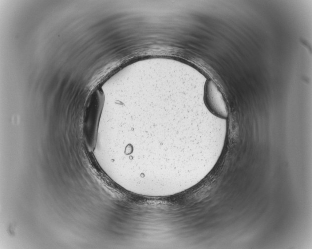 X0000102040437200808151410
