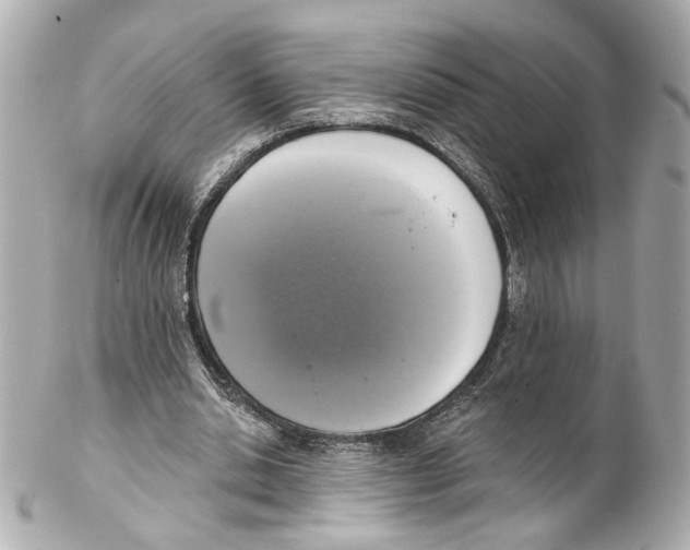 X0000102040438200808151410