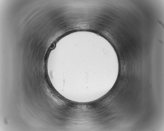 X0000102040439200808151410