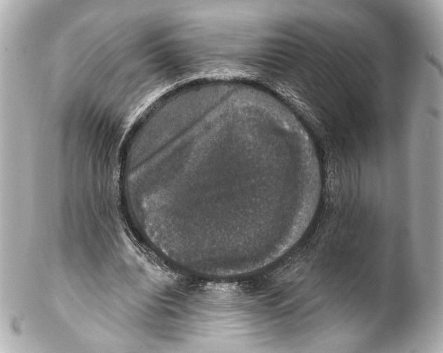 X0000102040440200808151410