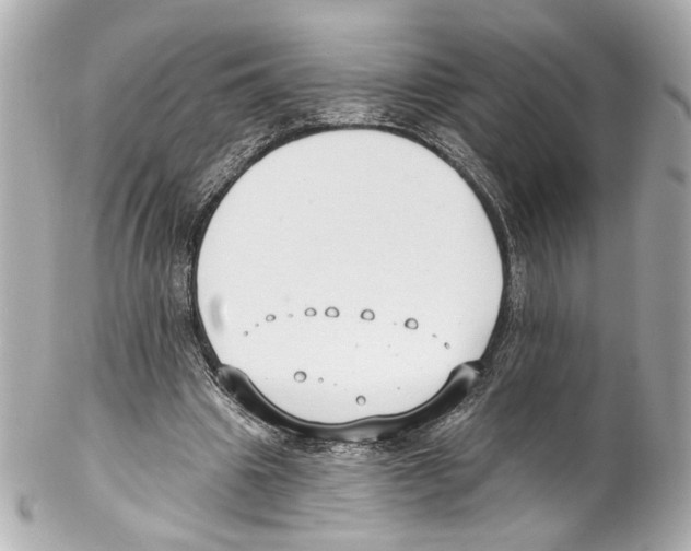 X0000102040441200808151410