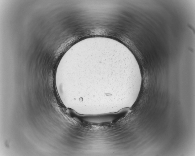 X0000102040442200808151410